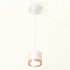 Подвесной светильник Ambrella Light XP XP8110012