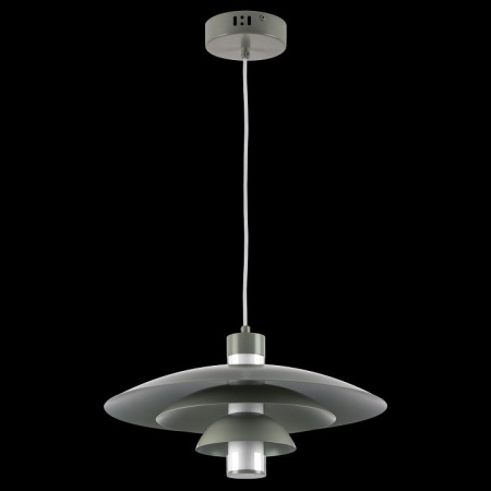 Подвесной светильник Lightstar Erbareo 799019