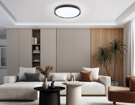 Накладной светильник Ambrella Light FZ FZ1248