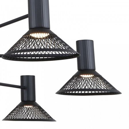Подвесная люстра Favourite Metrics 4623-6P