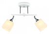 Светильник на штанге Ambrella Light TR TR303062