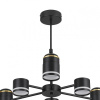 Люстра на штанге Lumion Virsava 8234/6C