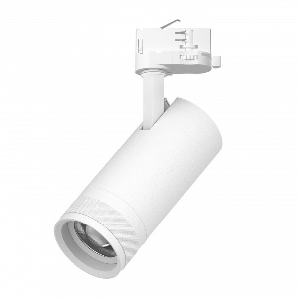 Светильник на штанге Lightstar Canno Pro C4206QT
