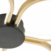 Потолочная люстра Escada Clover 10243/4LED