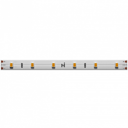 Лента светодиодная Maytoni Base 201177