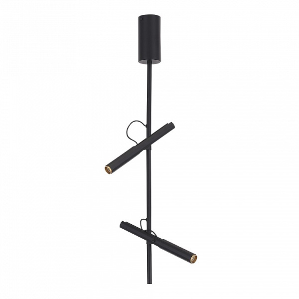 Светильник на штанге ST-Luce LILT SL6210.403.02