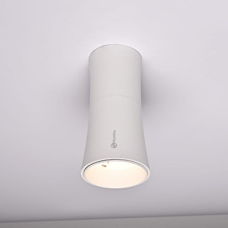 Накладной светильник Imperiumloft  Zyppa01