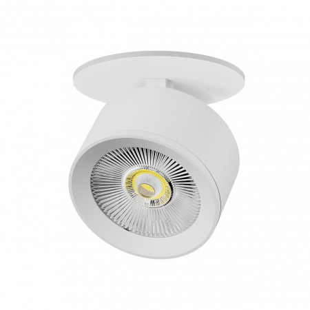 Спот Lightstar Alta Pro A5546RS