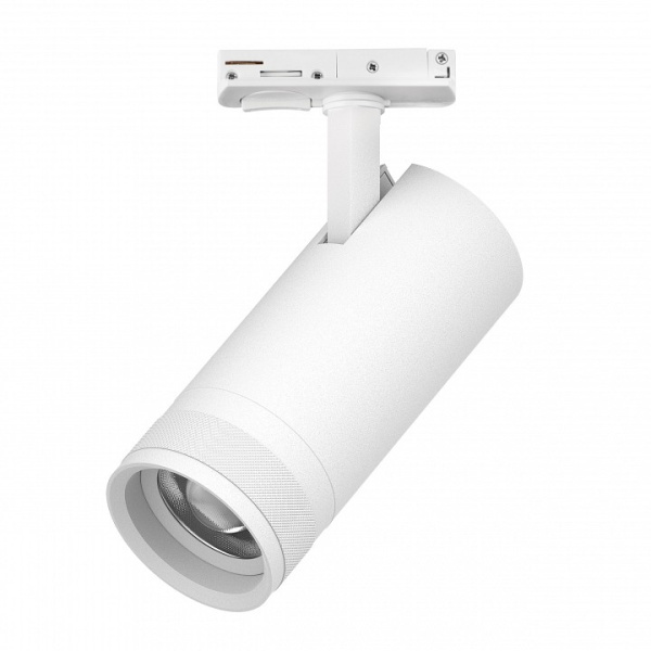 Светильник на штанге Lightstar Canno Pro C4206SS