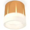 Накладной светильник Ambrella Light XS XS8121010