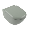 Подвесной унитаз Villeroy&Boch Antao 4674T0R8 утренний зеленый