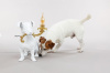 Настольная лампа декоративная Seletti Rio lamp 14794