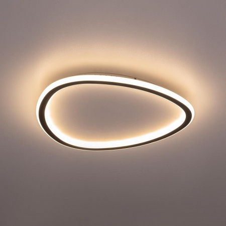 Накладной светильник Citilux ТRIO CL215B241E