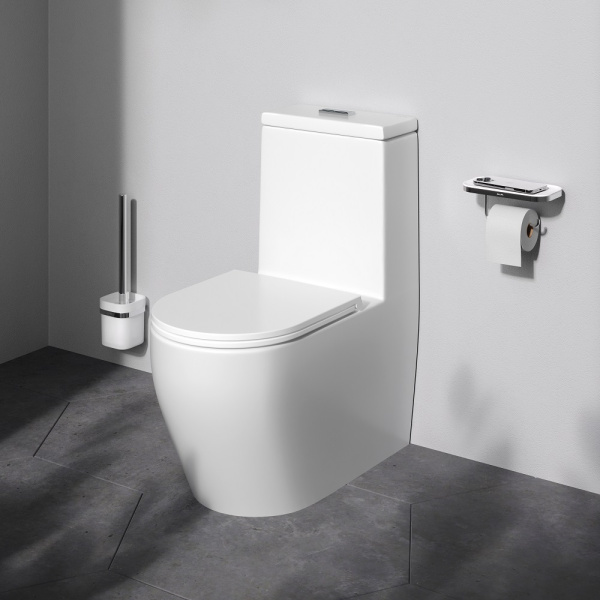 Унитаз AM.PM Func C8F8900SC с крышкой-сиденьем