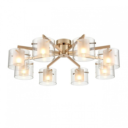 Потолочная люстра Lumion Verdi 6587/8C