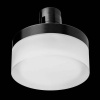Накладной светильник Lightstar Due Hermes 210647