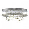 Потолочная люстра Citilux ETERA CL322050