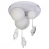 Накладной светильник Loft it Teddy 10030