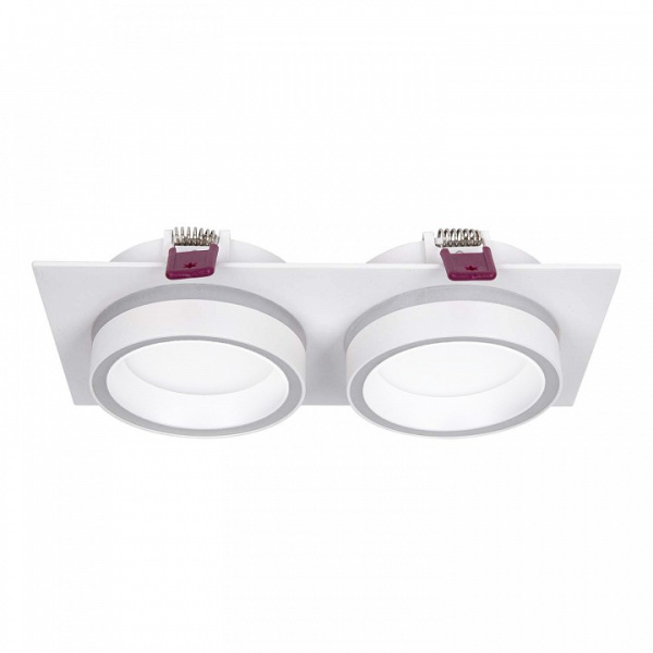 Встраиваемый светильник Favourite Vasto 4650-2C