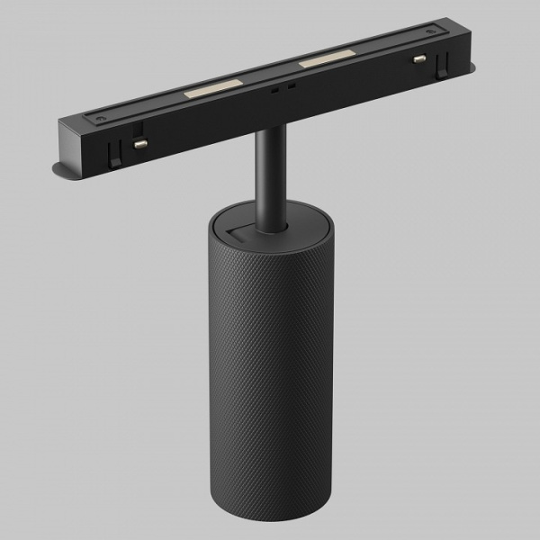 Светильник на штанге Maytoni Technical Мастер TR097-2-12W3K-M-BB