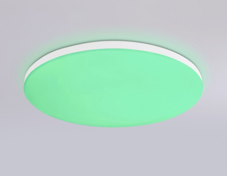 Накладной светильник Ambrella Light FZ FZ2001