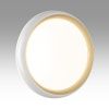 Накладной светильник Sonex PALE 7650/DLN