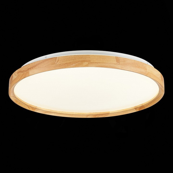 Накладной светильник EVOLUCE DELIA SLE201382-01