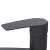 Смеситель для кухни AM.PM Gem F90A00022 черный матовый