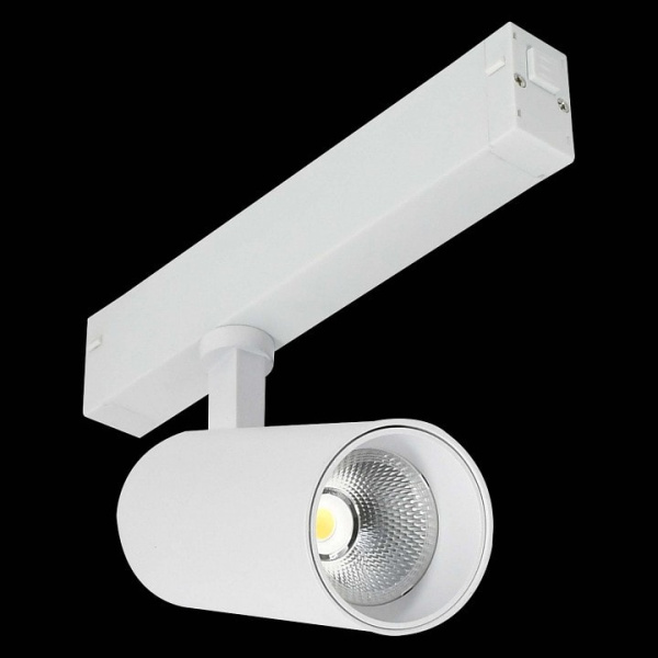 Светильник на штанге ST-Luce SKYLINE 220 ST660.596.20H