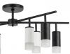 Люстра на штанге Lightstar Rullo LR7283743641