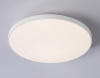 Накладной светильник Ambrella Light FZ FZ1221
