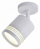 Спот Favourite Darar 3065-1U