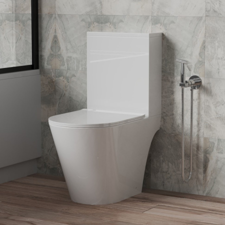 Смеситель с гигиеническим душем Paini Isola ISCR442 душем круглый