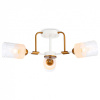 Потолочная люстра Ambrella Light TR TR303321
