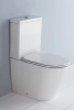 Чаша напольного безободкового унитаза BelBagno Flay-R BB007CPR