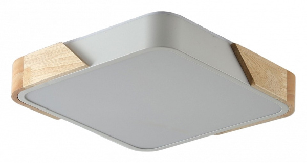 Накладной светильник Zortes Alberro ZRS.01285.60