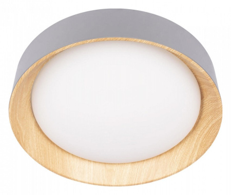 Накладной светильник Loft it Coin 10202 Grey