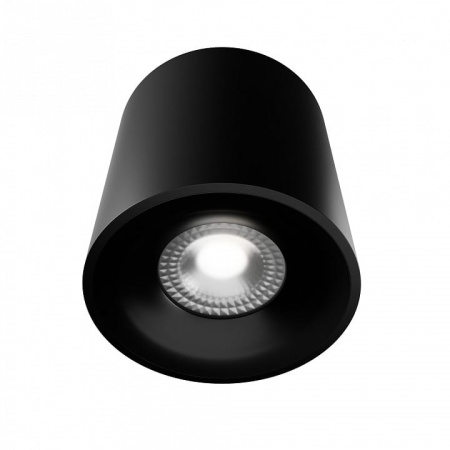 Накладной светильник LIGHTERA Shamrock LE201CL-1BB