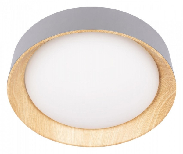 Накладной светильник Loft it Coin 10202 Grey