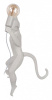 Бра Loft it Monkey 10314W/B