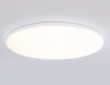 Накладной светильник Ambrella Light FZ FZ2003