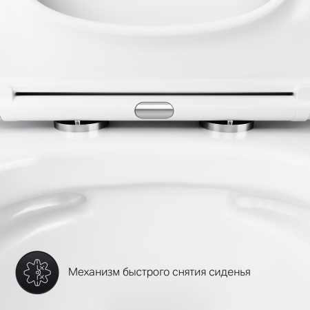 Подвесной унитаз AM.PM Gem C901701SC с крышкой-сиденьем