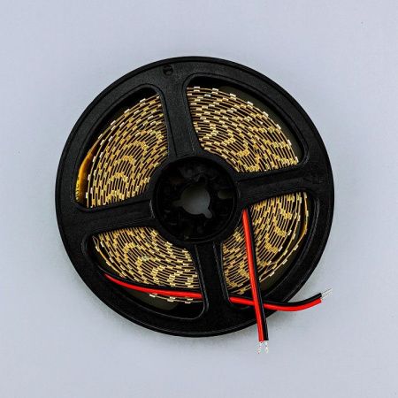 Лента светодиодная Eleganz LUX EL-24V-19W