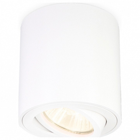 Накладной светильник Ambrella Light TN TN22701