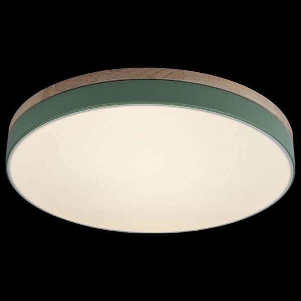 Накладной светильник Loft it Axel 10001/36 Green