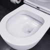 Подвесной унитаз Damixa Sirius DX86C1700SC с сиденьем микролифт