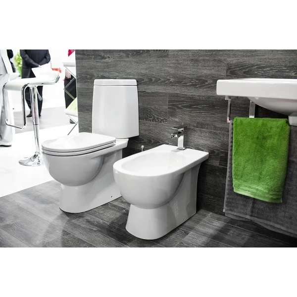 Унитаз-компакт с сиденьем микролифт Sanita Luxe Fest WC.CC/Fest/2-DM/WHT.G/S1