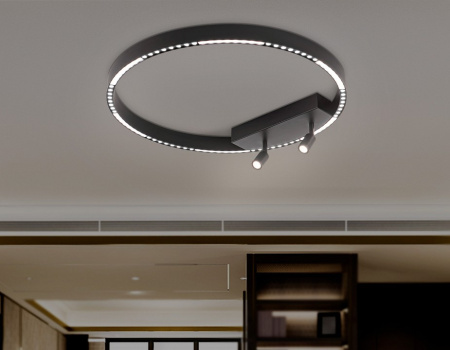 Накладной светильник Ambrella Light FL FL5808