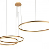 Подвесной светильник Loft it Ring 10017/3M