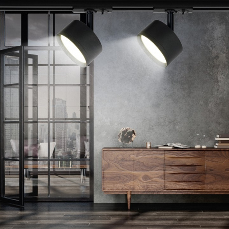 Светильник на штанге Эра TR48 GX53 BK